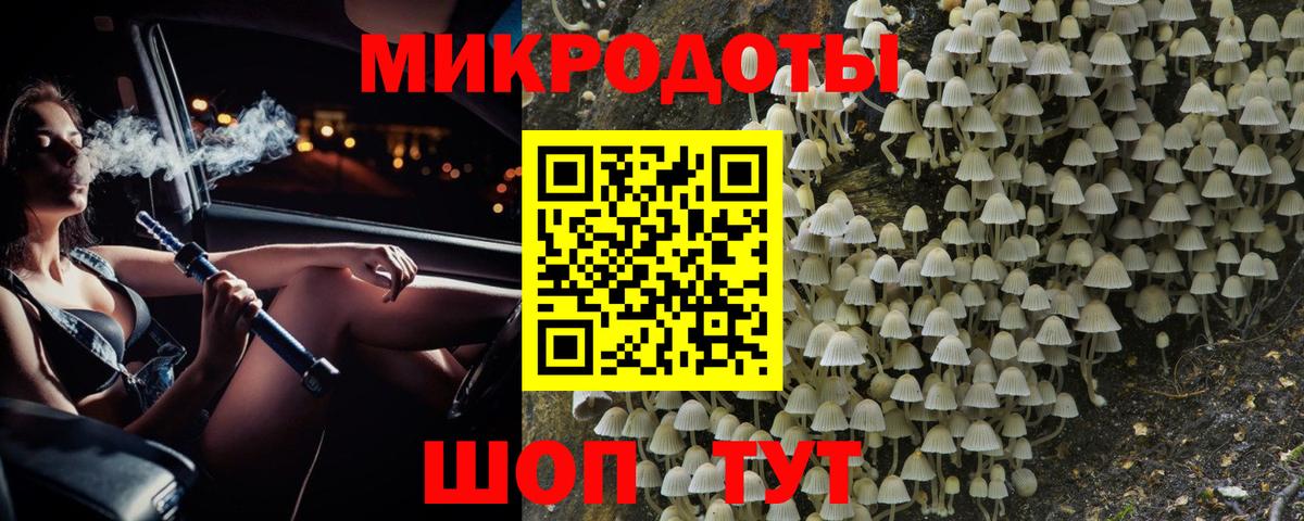 Галлюциногенные грибы мухоморы Нижний Новгород