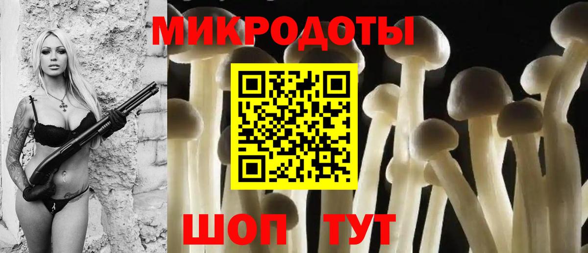 Псилоцибиновые грибы MAGIC MUSHROOMS  Вход с VPN  Нижний Новгород  Псилоцибиновые грибы прущие грибы 